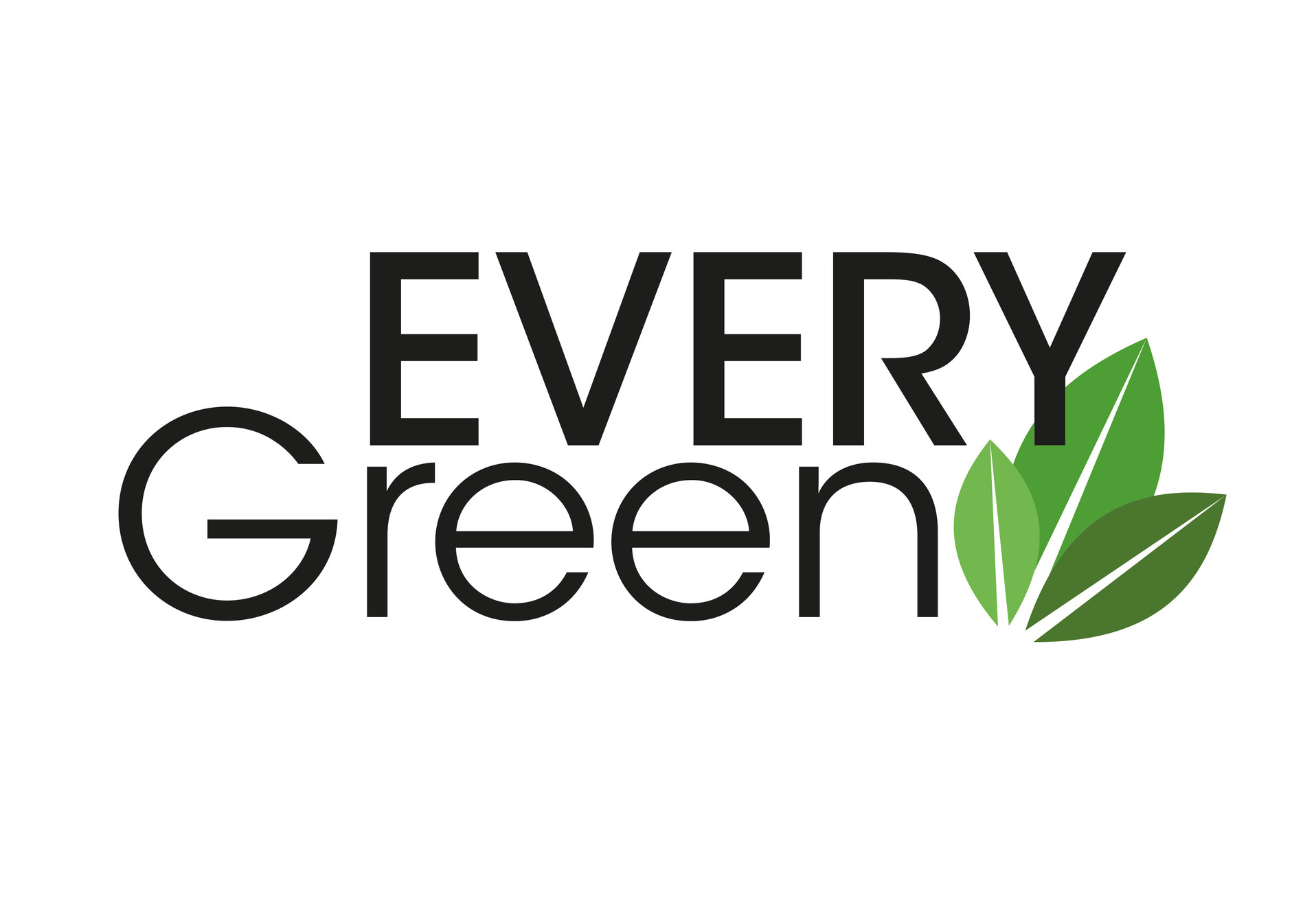 everi green DGH peluquerias